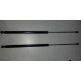 Amortecedor Tampa Traseira Argo (par)